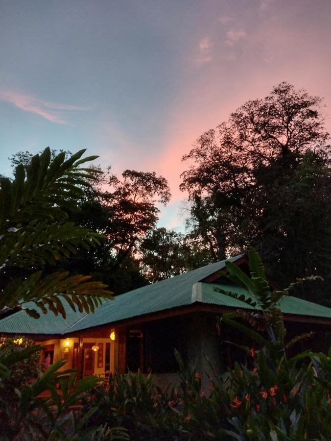 Villa Geckoes *