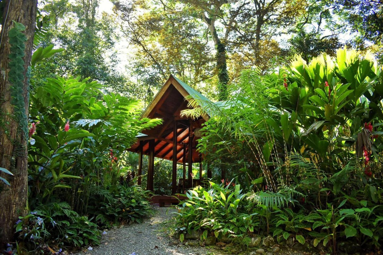 Geckoes Villa Cocles